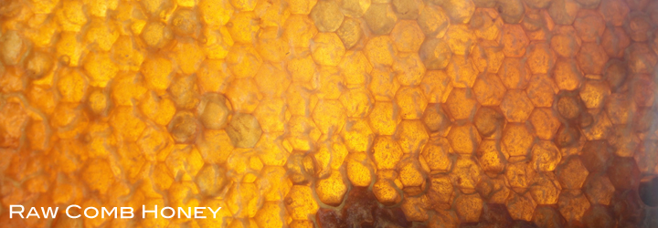 CombHoney